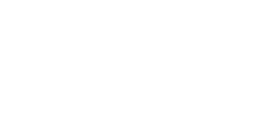Sajecki Planning